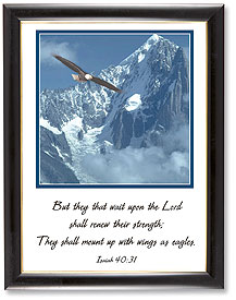 Wings as Eagles Framed Picture
